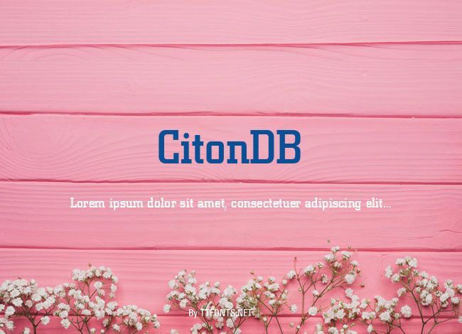 CitonDB example