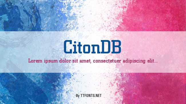 CitonDB example