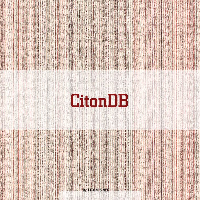 CitonDB example