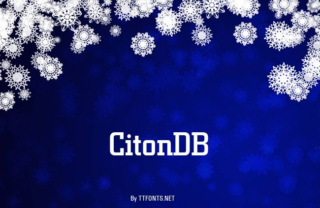 CitonDB example