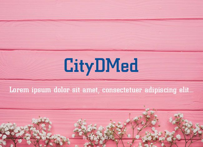 CityDMed example