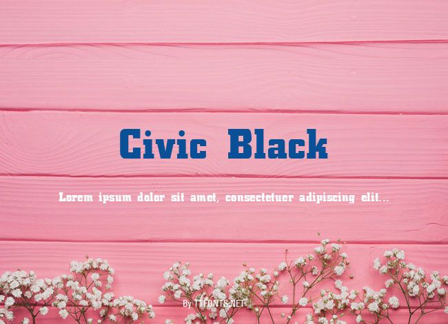 Civic Black example