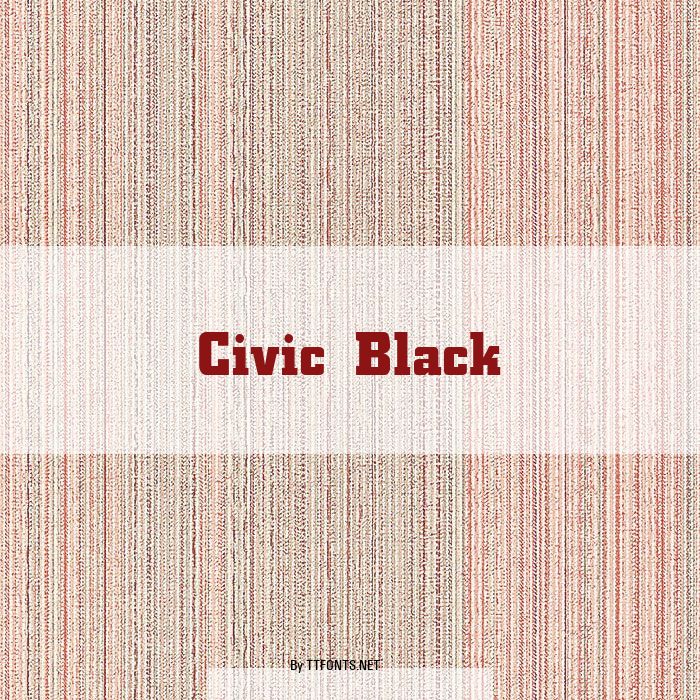 Civic Black example