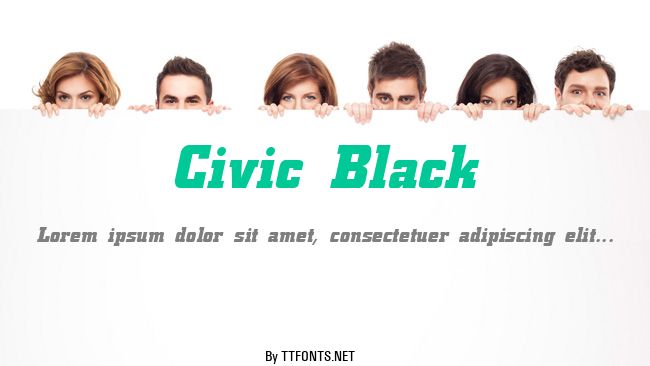 Civic Black example
