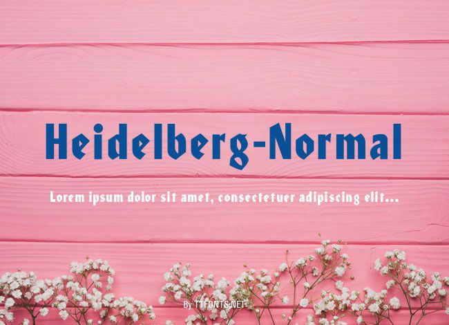 Heidelberg-Normal example