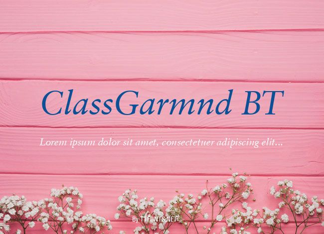 ClassGarmnd BT example