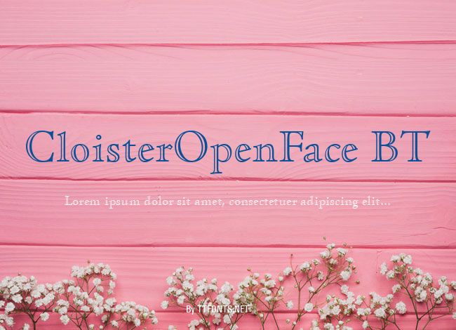 CloisterOpenFace BT example