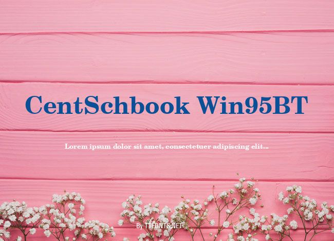 CentSchbook Win95BT example