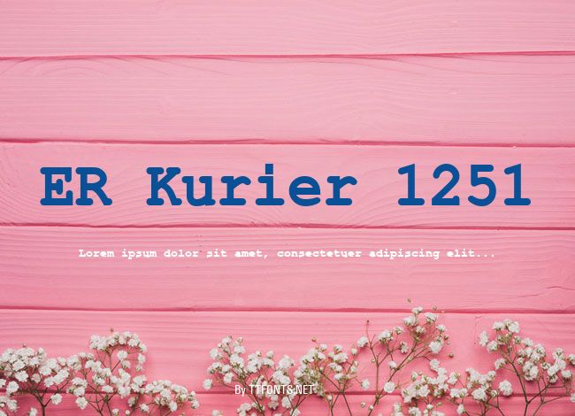 ER Kurier 1251 example