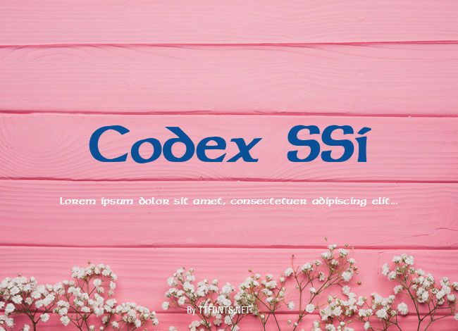 Codex SSi example