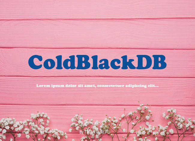 ColdBlackDB example
