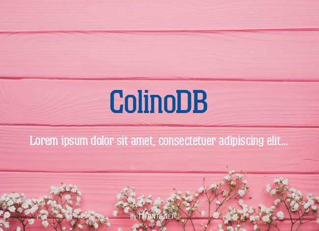 ColinoDB example