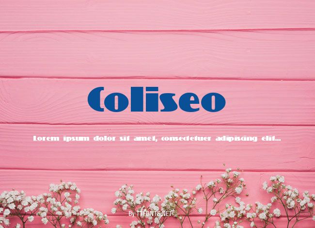 Coliseo example