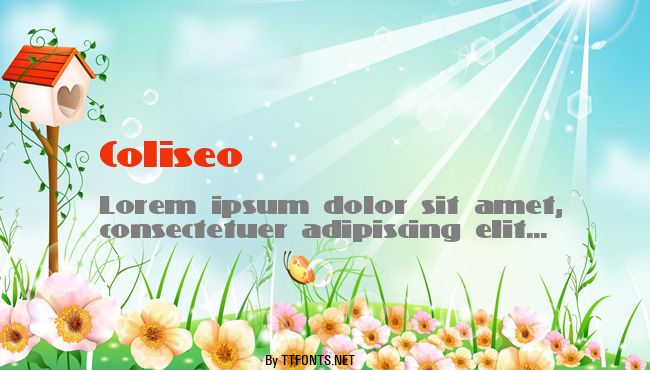 Coliseo example