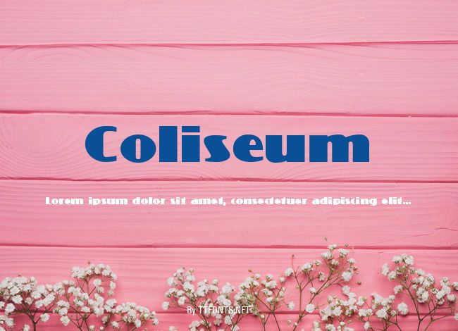 Coliseum example