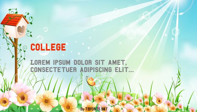 College example