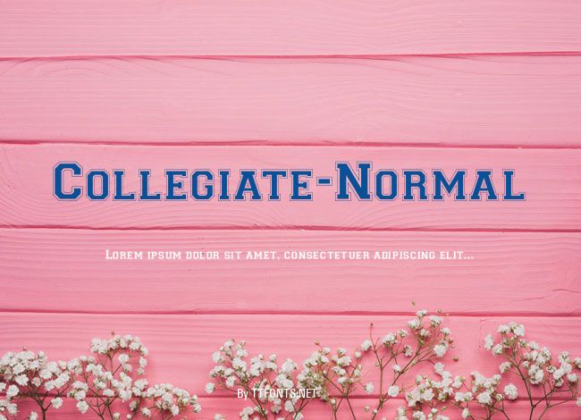 Collegiate-Normal example