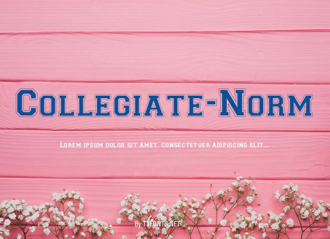 Collegiate-Norm example