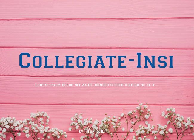 Collegiate-Insi example