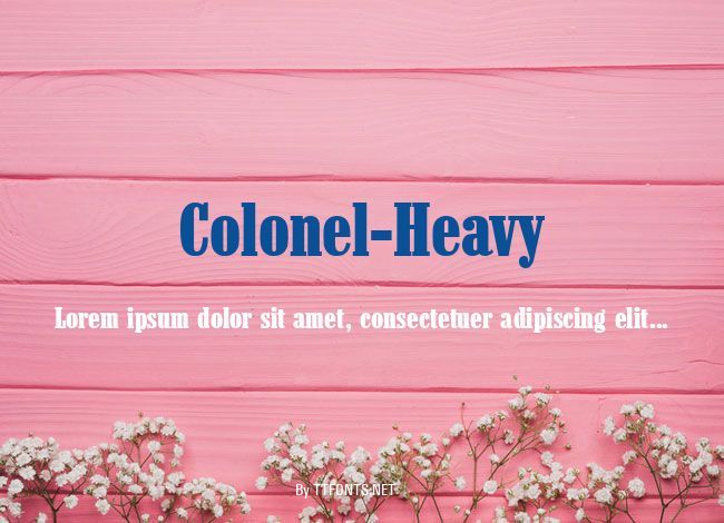 Colonel-Heavy example