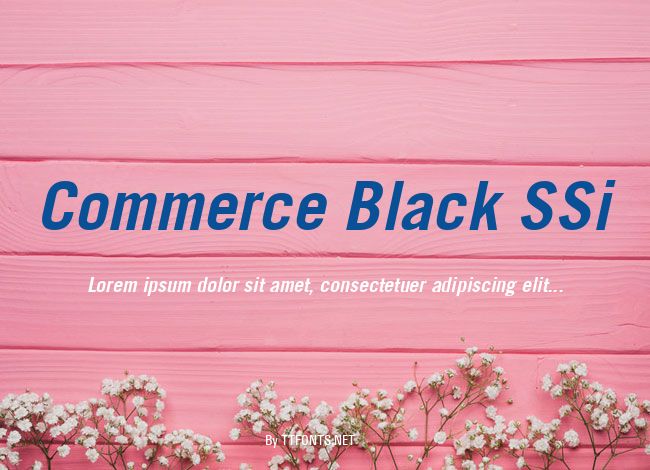 Commerce Black SSi example