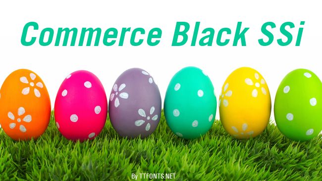 Commerce Black SSi example