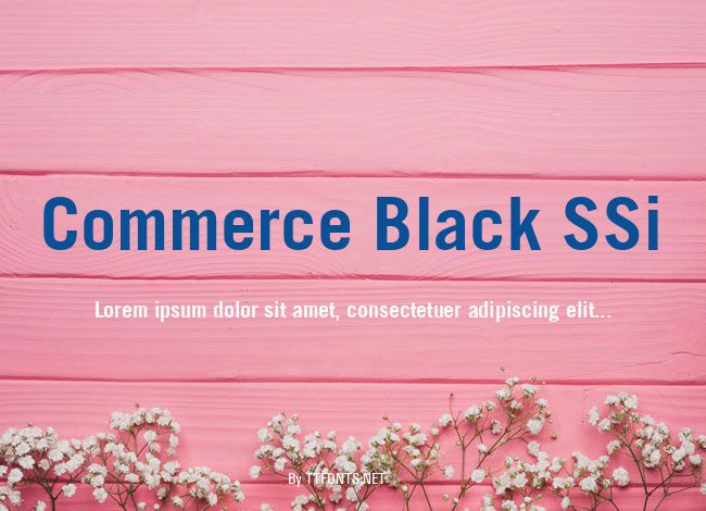 Commerce Black SSi example
