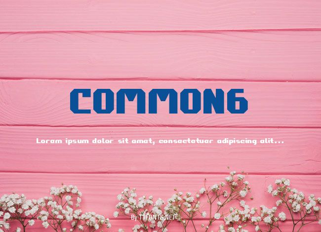COMMON6 example