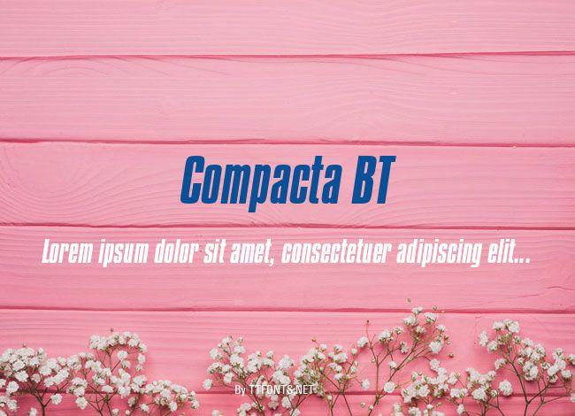 Compacta BT example