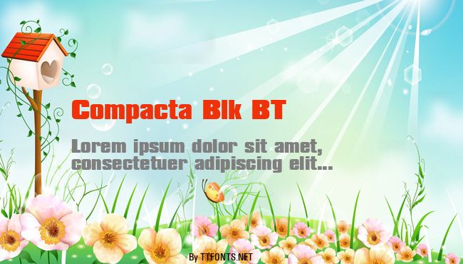 Compacta Blk BT example