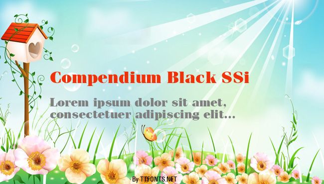 Compendium Black SSi example