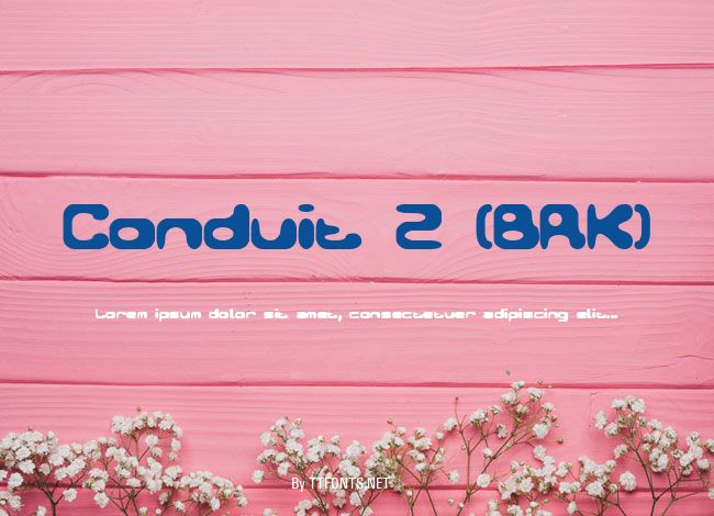 Conduit 2 (BRK) example