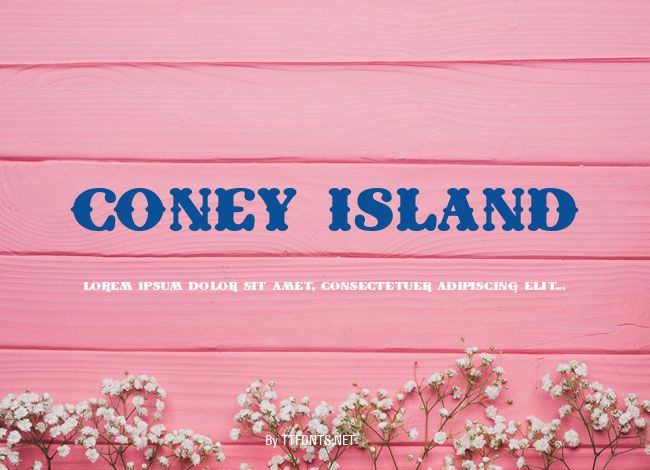 Coney Island example