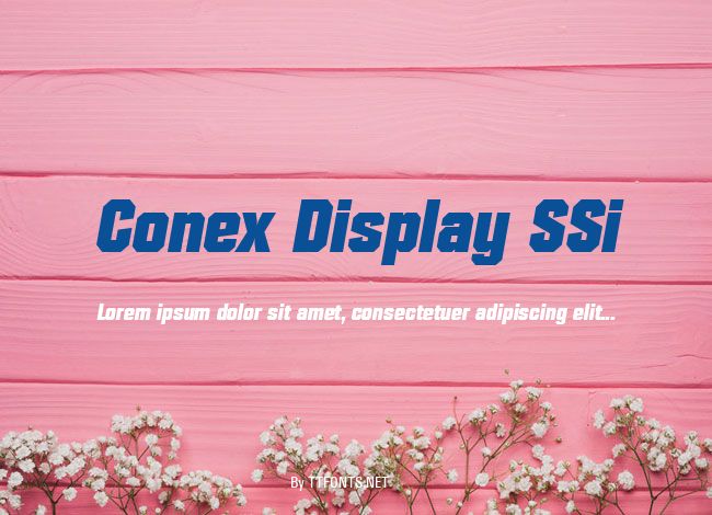 Conex Display SSi example