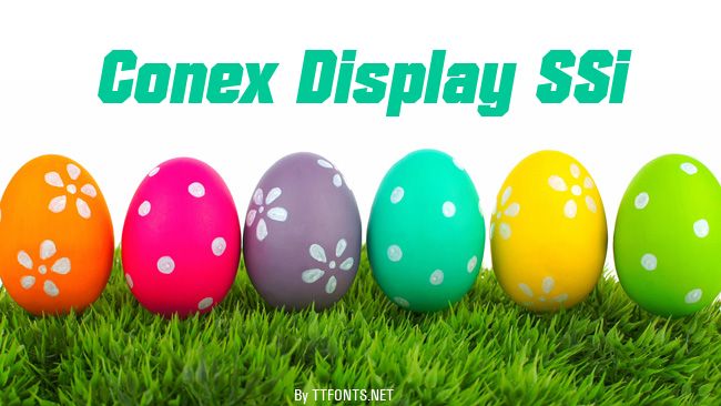 Conex Display SSi example