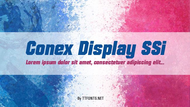 Conex Display SSi example