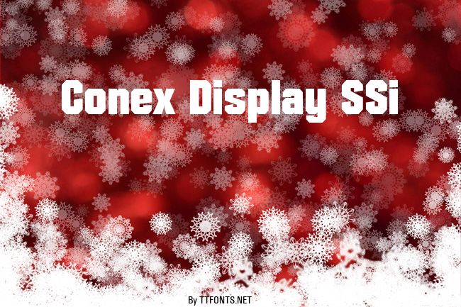 Conex Display SSi example