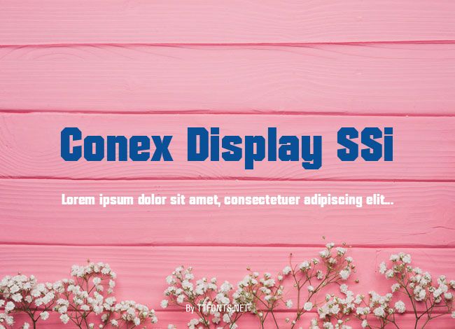 Conex Display SSi example