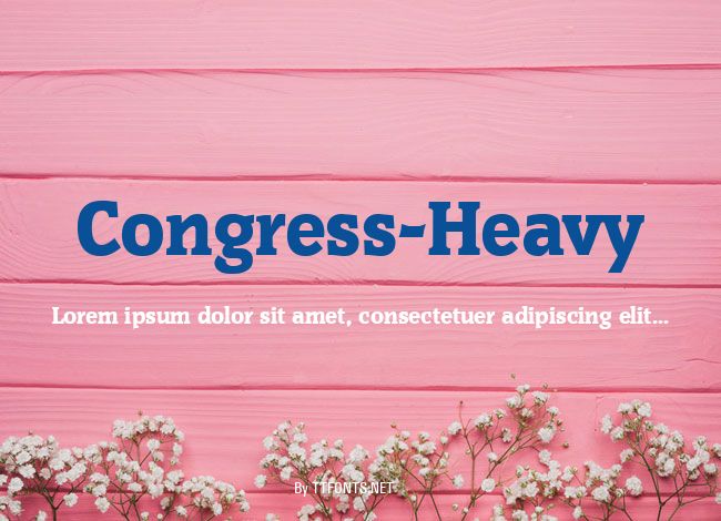 Congress-Heavy example