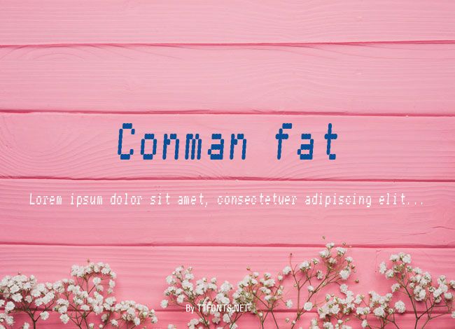 Conman fat example