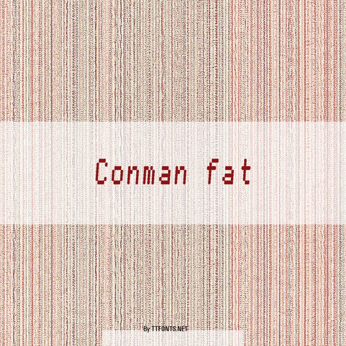 Conman fat example