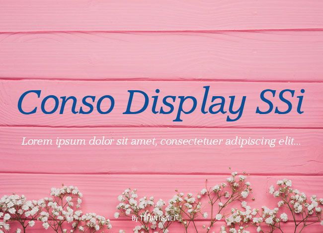 Conso Display SSi example