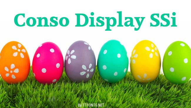 Conso Display SSi example