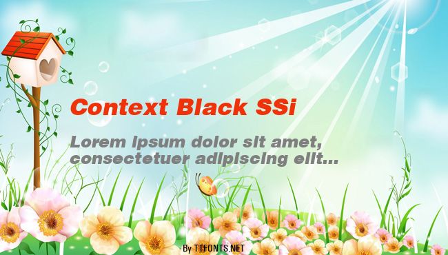 Context Black SSi example