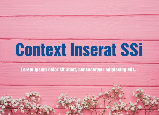 Context Inserat SSi example