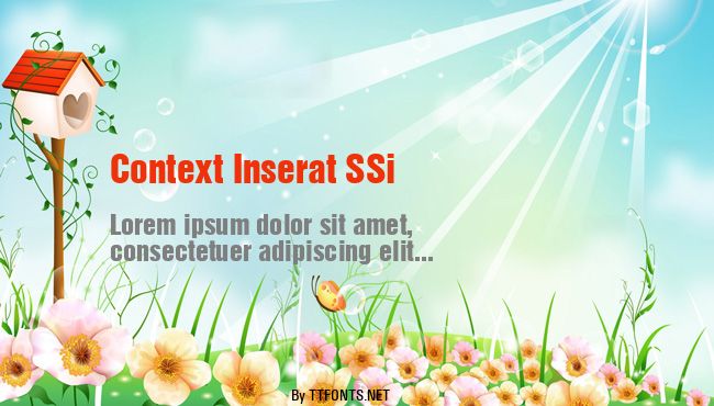 Context Inserat SSi example