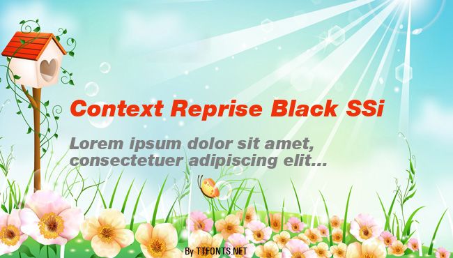 Context Reprise Black SSi example