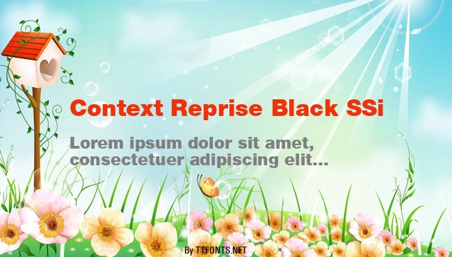 Context Reprise Black SSi example
