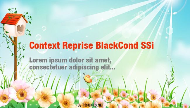 Context Reprise BlackCond SSi example