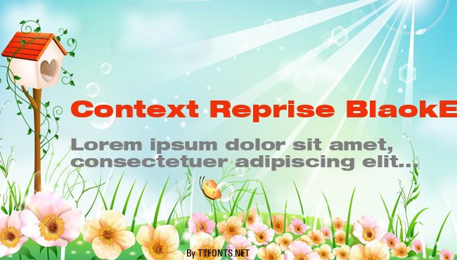 Context Reprise BlackExp SSi example